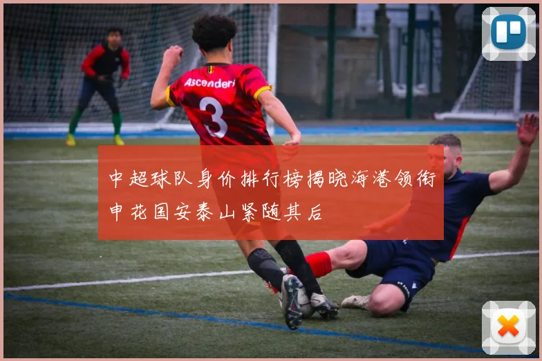 中超球队身价排行榜揭晓海港领衔申花国安泰山紧随其后