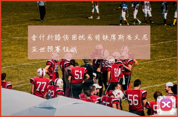 舍什科膝伤困扰或将缺席斯洛文尼亚世预赛征战