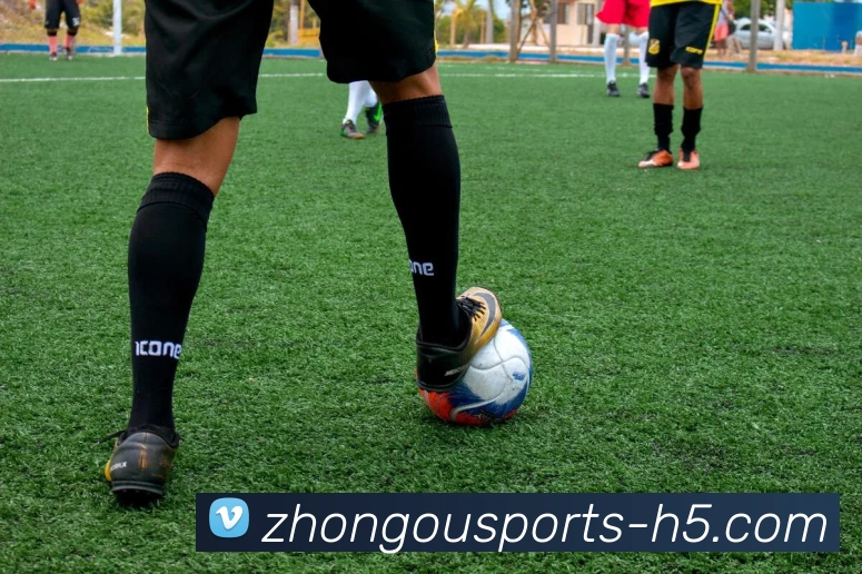 App Interface Preview